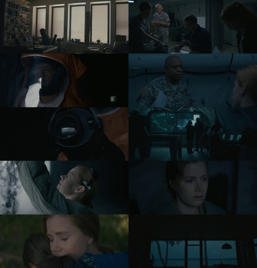  Screenshot Of Arrival-2016-BluRay-Dual-Audio-Hindi-And-English-Hollywood-Hindi-Dubbed-Full-Movie-Download-In-Hd